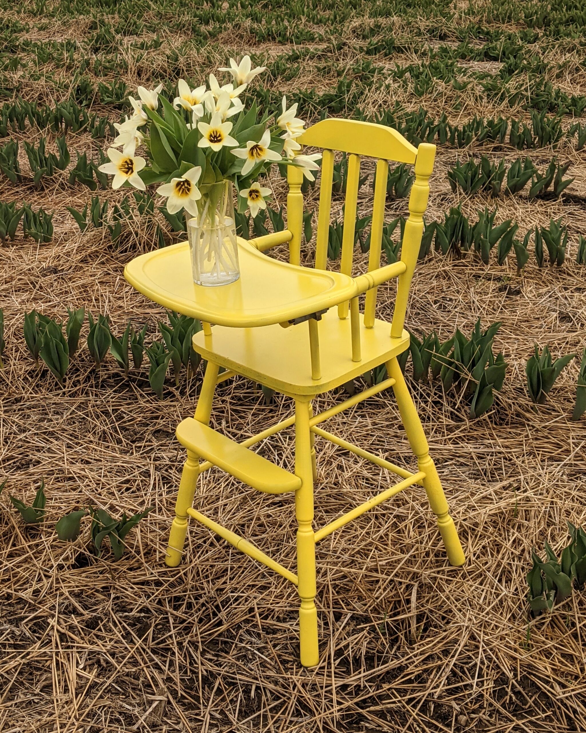 Vase of tulips on the yellow high chair Green Corners